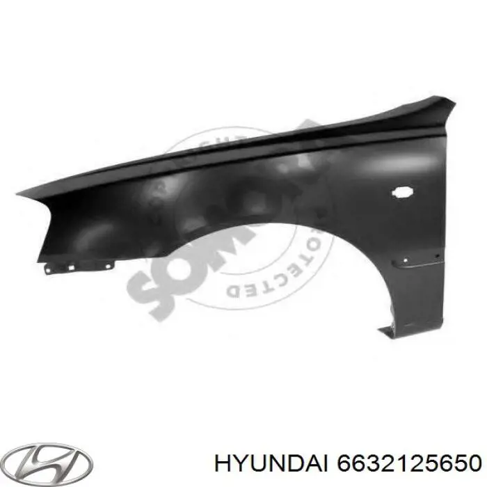 Guardabarros delantero derecho para Hyundai Accent (LC)