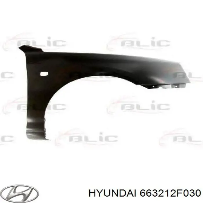 Guardabarros delanteros derecho Hyundai/Kia 663212F030 precio, desde 84,82 EUR