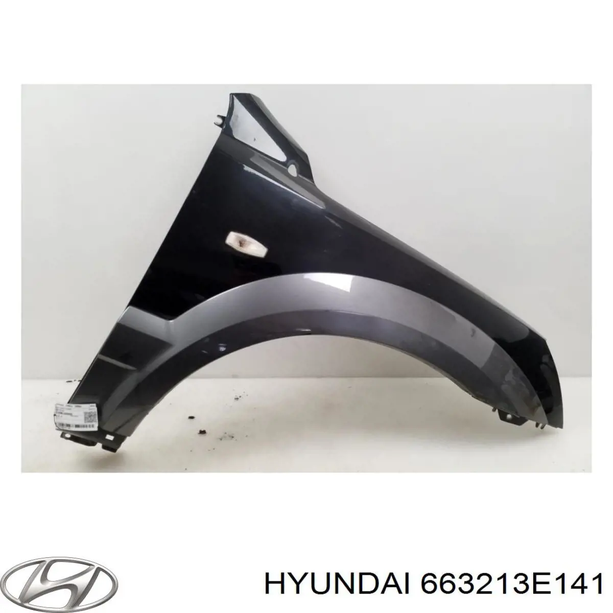 Guardabarros delanteros derecho Hyundai/Kia 663213E031 precio, desde 124,87 EUR
