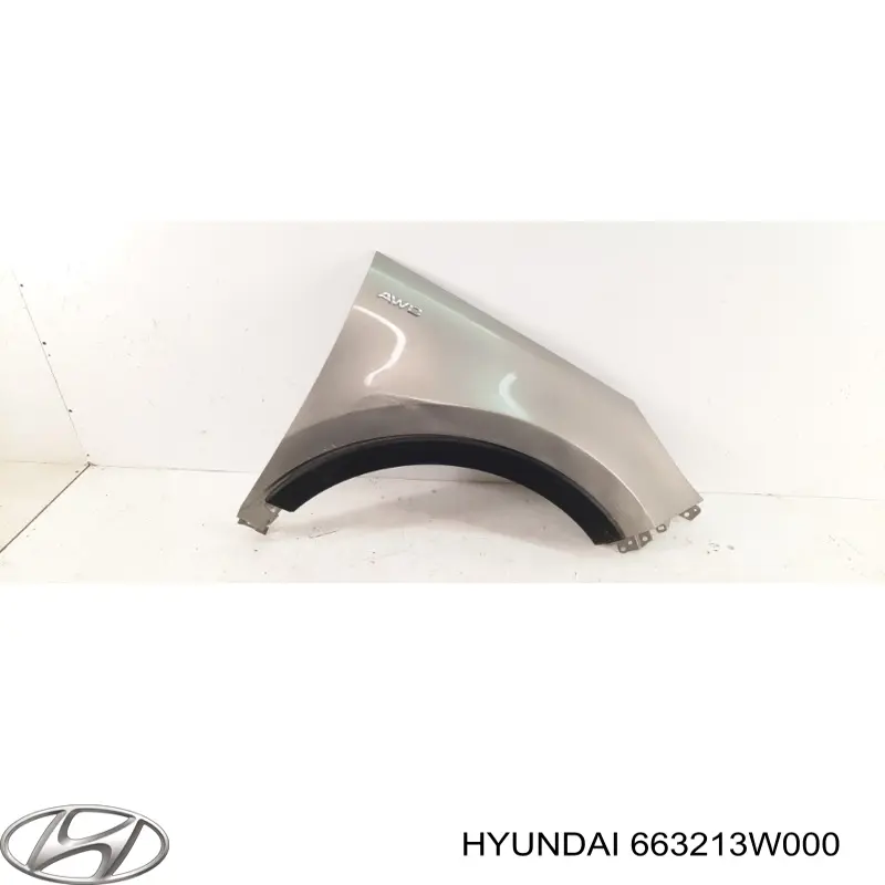 Aleta 663213W000 Hyundai/Kia