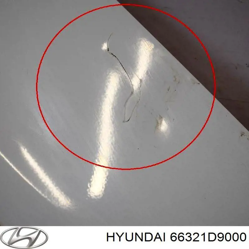 Guardabarros delanteros derecho Hyundai/Kia 66321D9000 precio, desde 124,45 EUR