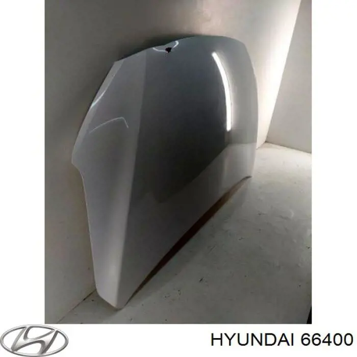 Capó 66400 Hyundai/Kia