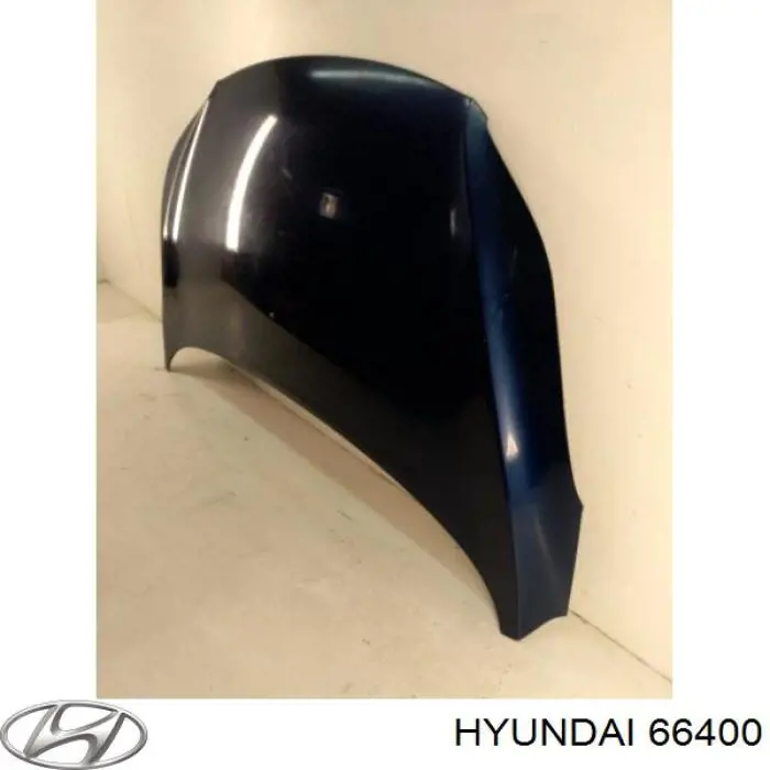 Comprar 66400 Hyundai/Kia Capó