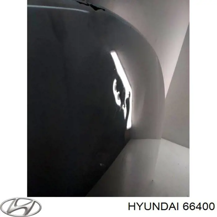 Capó 66400 Hyundai/Kia