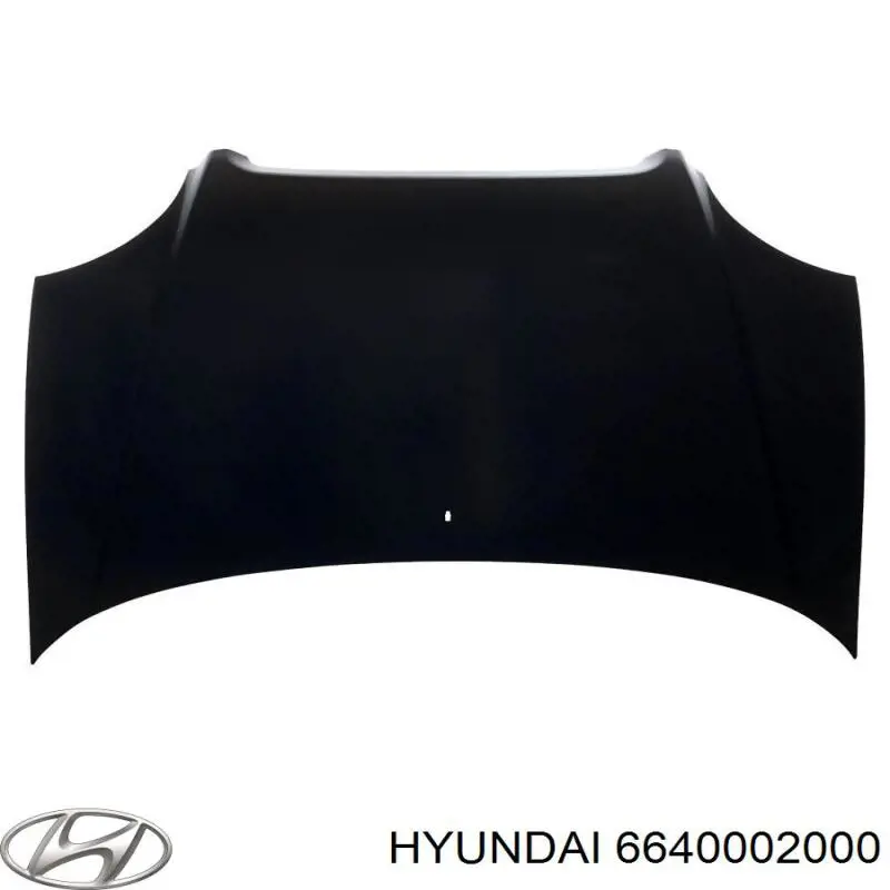 6640002000 Hyundai/Kia capó del motor