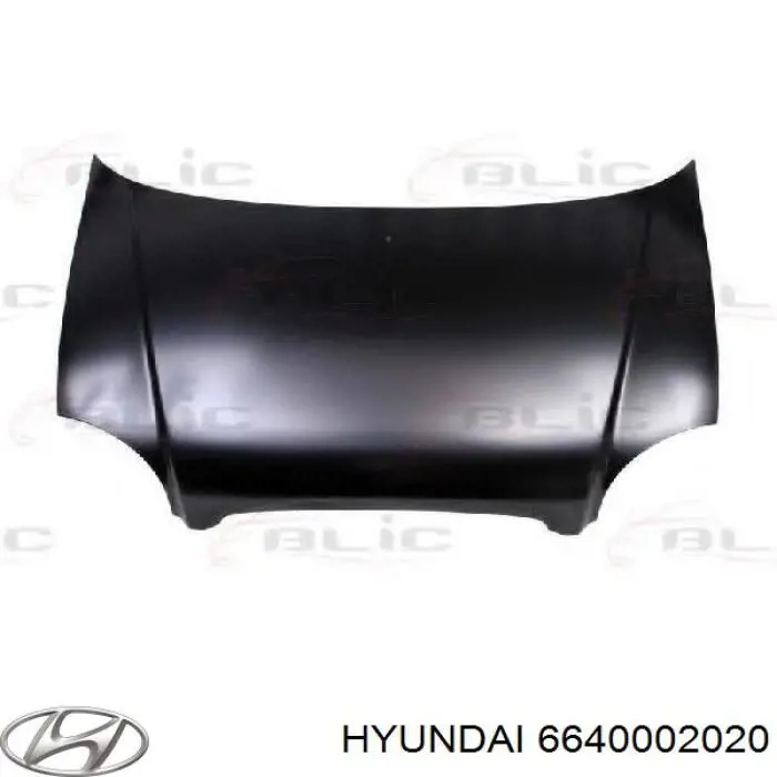 6640002020 Hyundai/Kia capó del motor