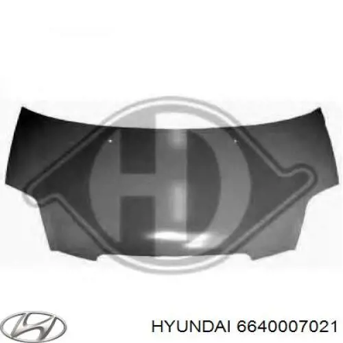 Comprar 6640007021 Hyundai/Kia Capó