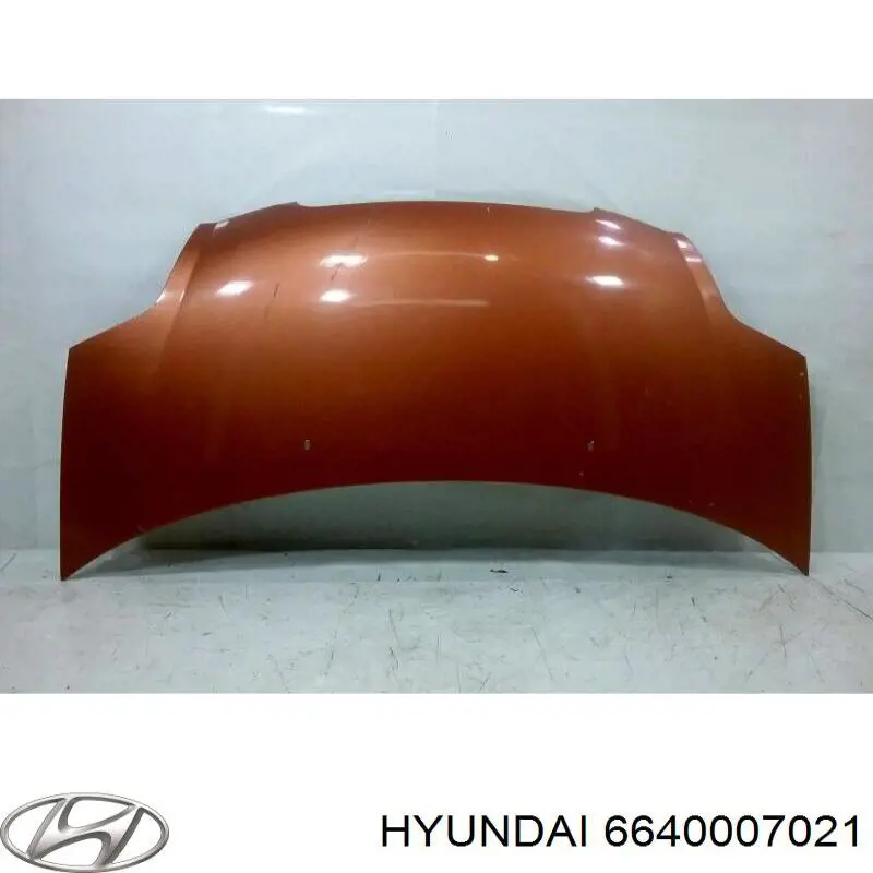 Capó del motor Hyundai/Kia 6640007021 precio, desde 179,41 EUR