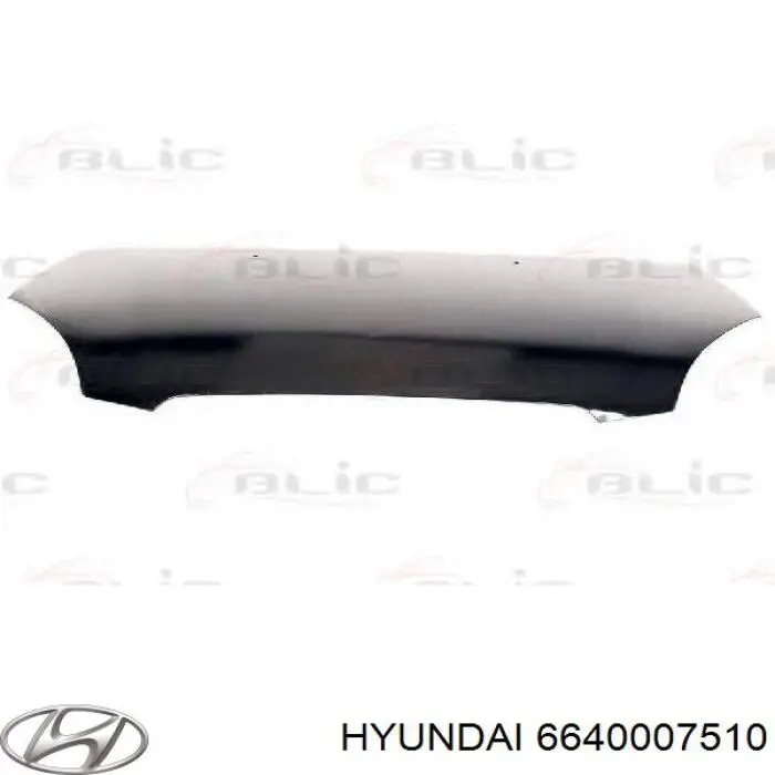 Capó del motor Hyundai/Kia 6640007510 precio, desde 143,76 EUR