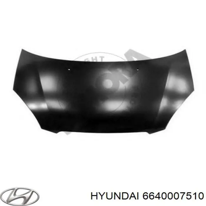 Comprar 6640007510 Hyundai/Kia Capó