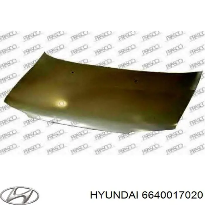 6640017020 Hyundai/Kia capó