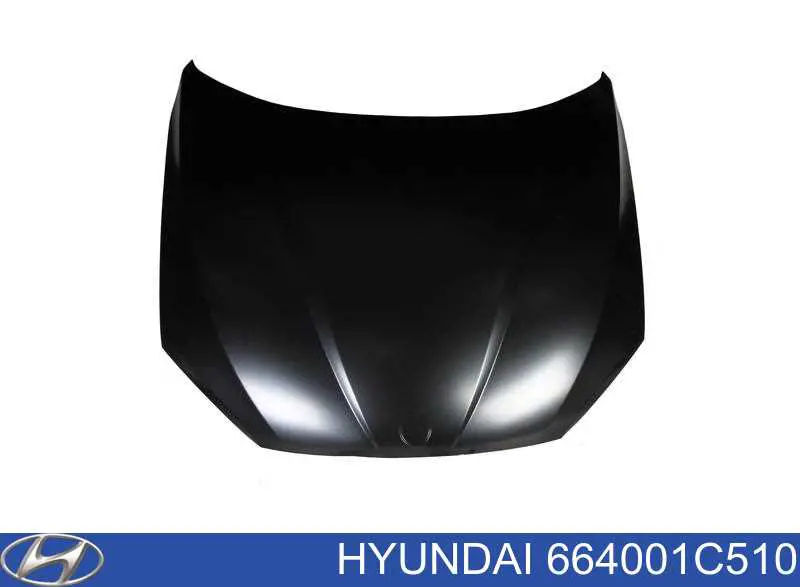 Capó del motor Hyundai/Kia 664001C510 precio, desde 296,21 EUR