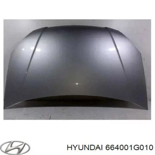 Capó 664001G010 Hyundai/Kia