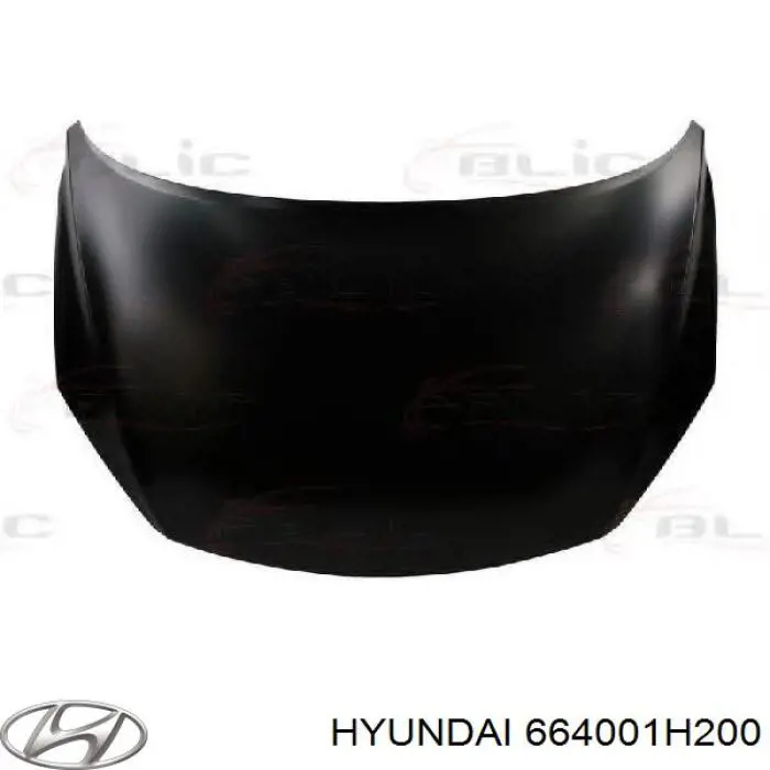 Comprar 664001H200 Hyundai/Kia Capó