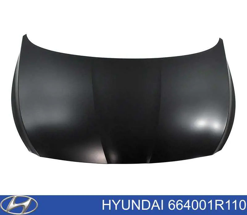 Comprar 664001R110 Hyundai/Kia Capó
