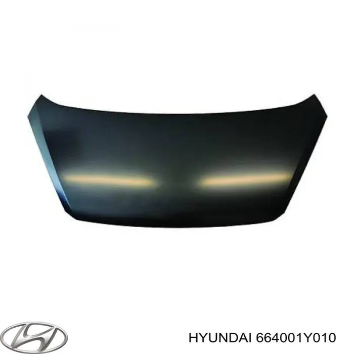 Comprar 664001Y010 Hyundai/Kia Capó