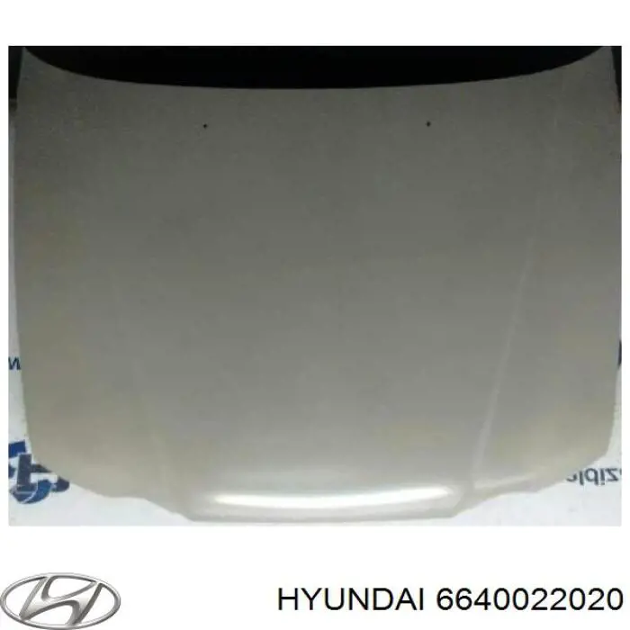 6640022020 Hyundai/Kia capó