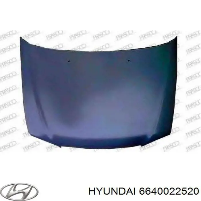 Comprar 6640022520 Hyundai/Kia Capó
