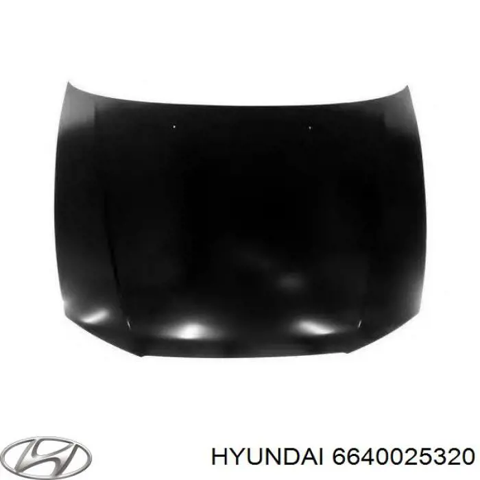 Capó del motor Hyundai/Kia 6640025320 precio, desde 187,97 EUR