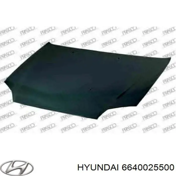 Capó del motor Hyundai/Kia 6640025500 precio, desde 198,92 EUR