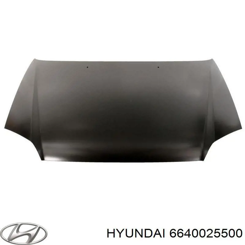 66400-25500 Hyundai/Kia capó