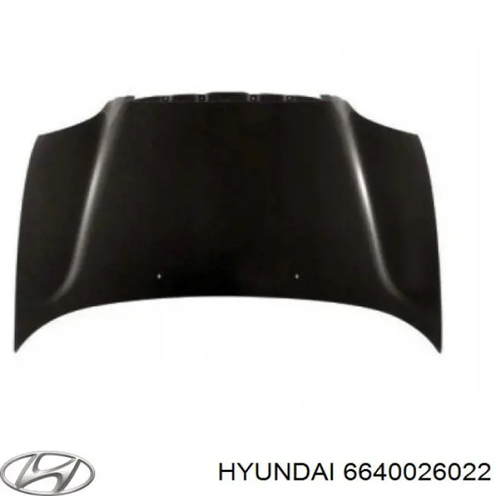 Capó del motor Hyundai/Kia 6640026000 precio, desde 193,12 EUR