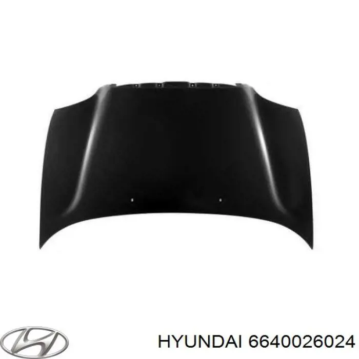 6640026024 Hyundai/Kia Capó delantero