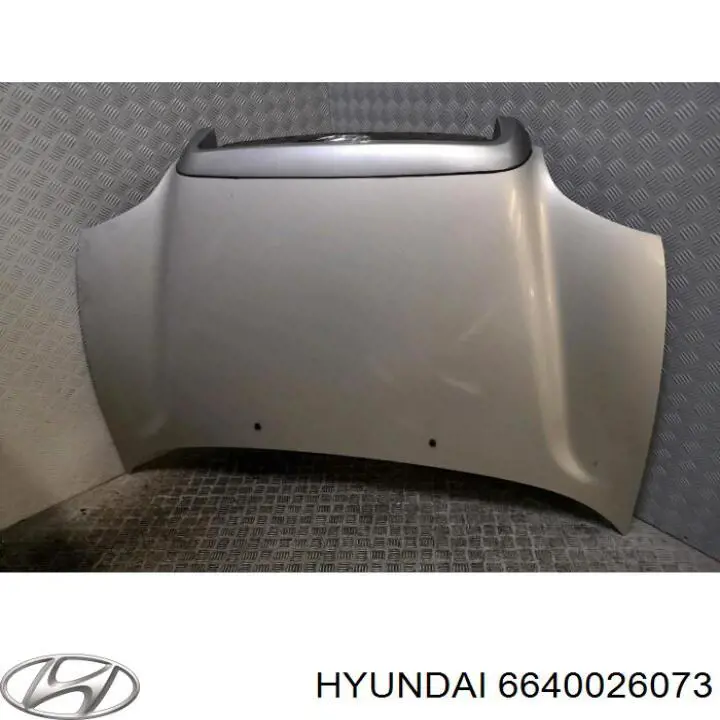 6640026073 Hyundai/Kia capó