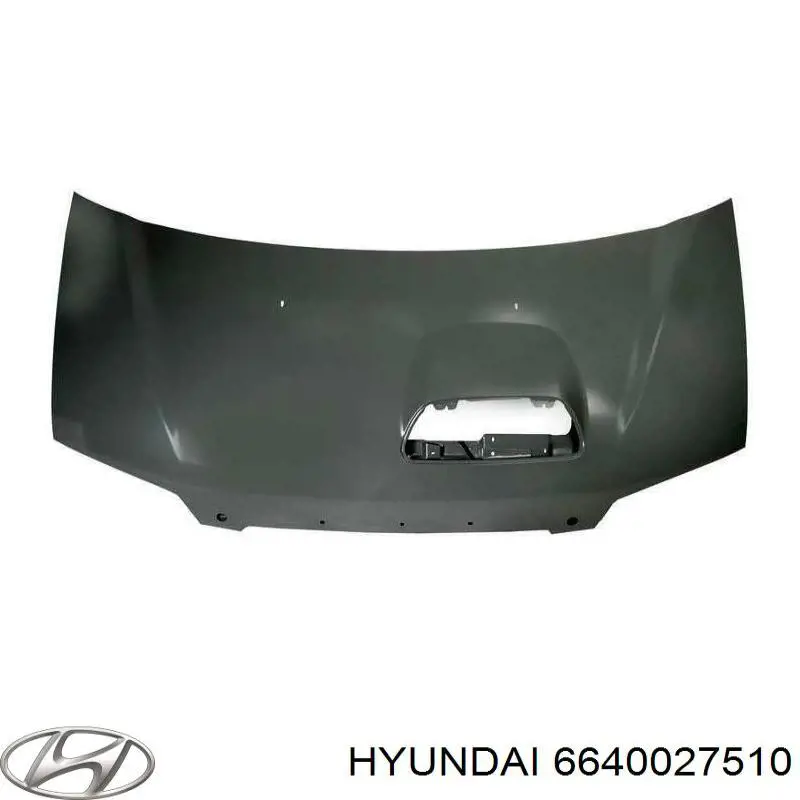 Capot para Hyundai Coupe RD