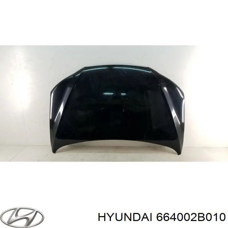 Capó del motor Hyundai/Kia 664002B010 precio, desde 251,20 EUR