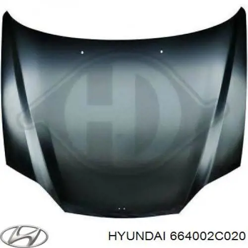Comprar 664002C020 Hyundai/Kia Capó