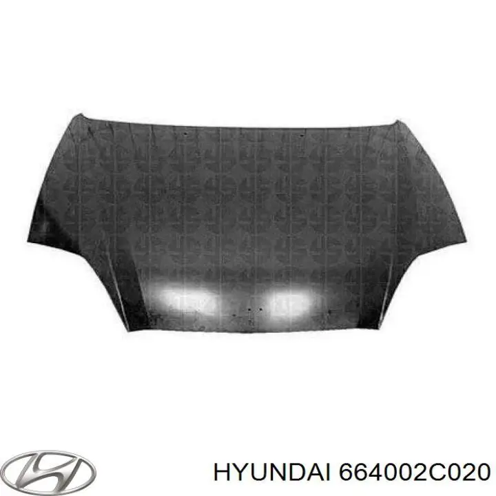 664002C020 Hyundai/Kia capó