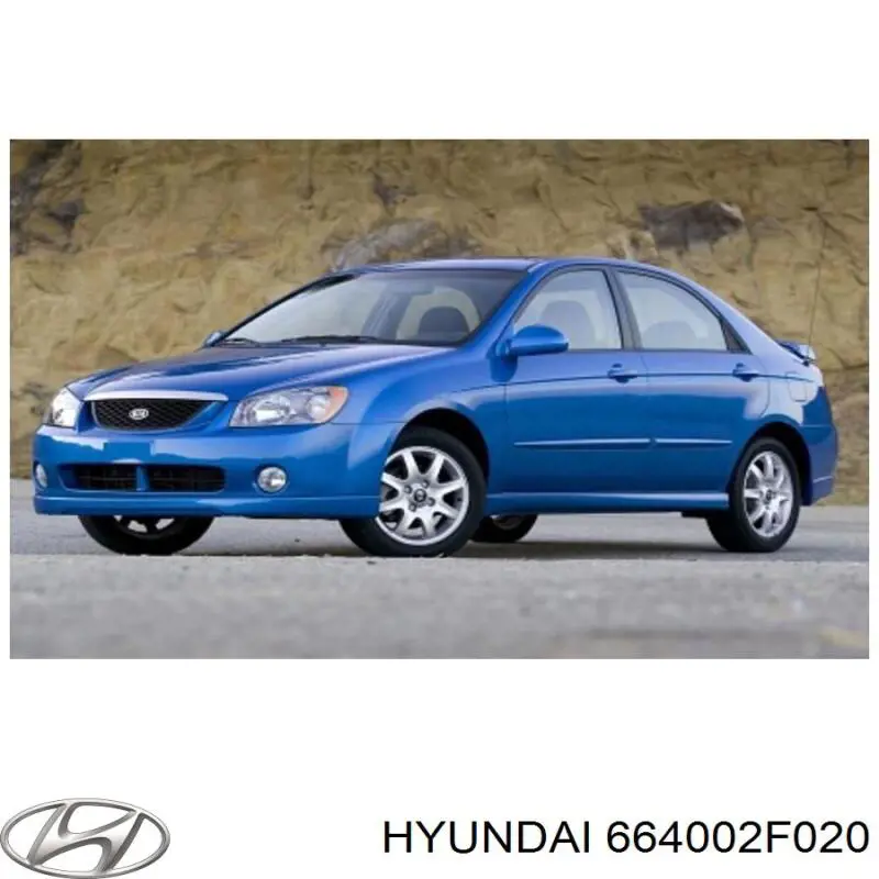 Comprar 664002F020 Hyundai/Kia Capó
