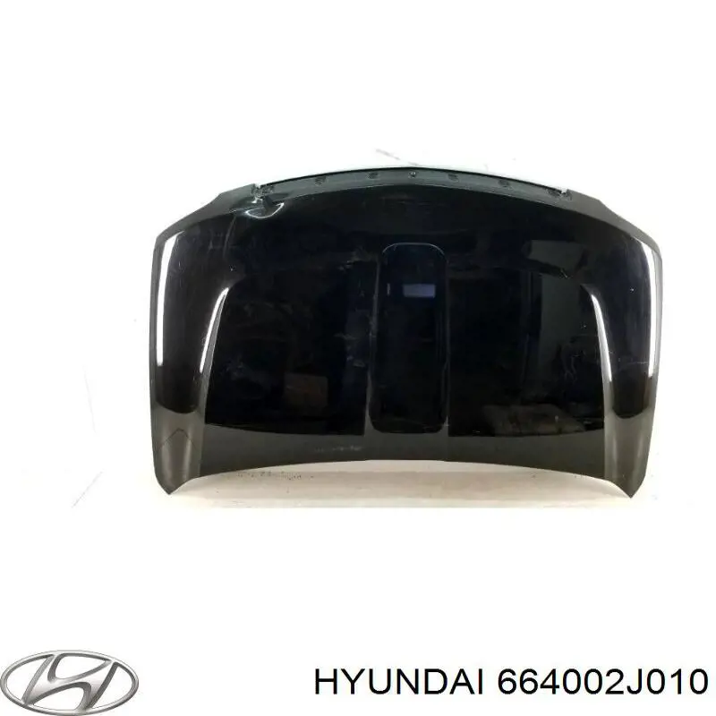 664002J010 Hyundai/Kia capó