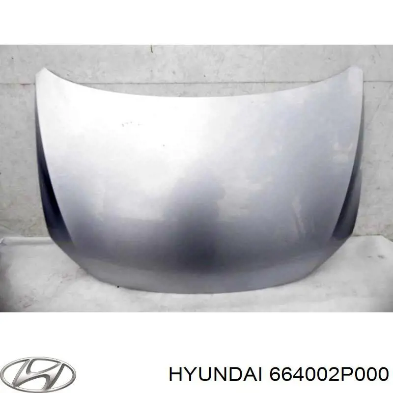 Capó del motor Hyundai/Kia 664002P000 precio, desde 221,68 EUR