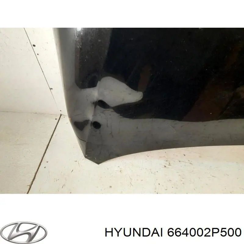 Comprar 664002P500 Hyundai/Kia Capó