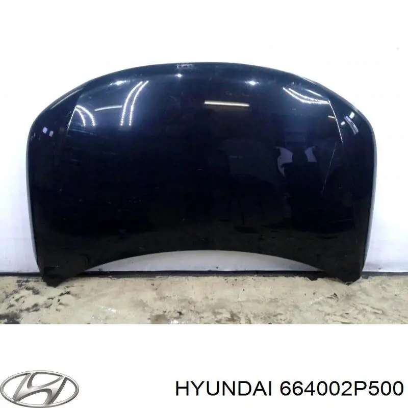 664002P500 Hyundai/Kia capó