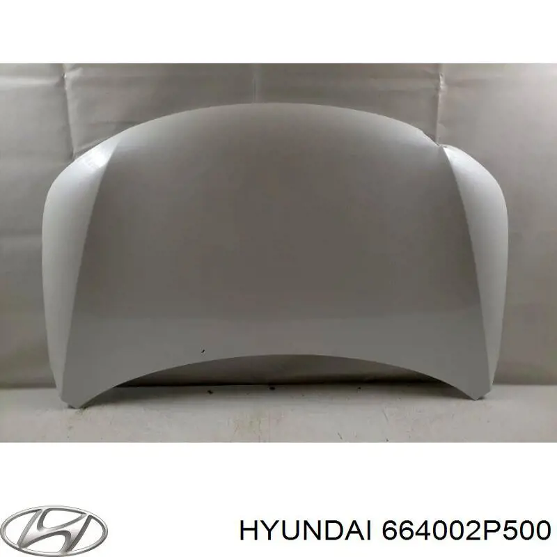 Capó 664002P500 Hyundai/Kia