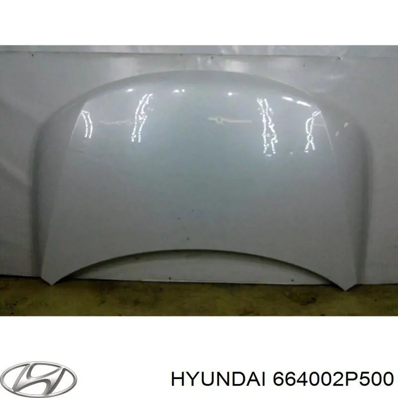 664002P500 Hyundai/Kia Capó delantero