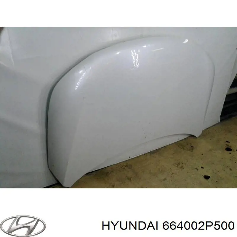 Capó del motor Hyundai/Kia 664002P500 precio, desde 744,88 EUR