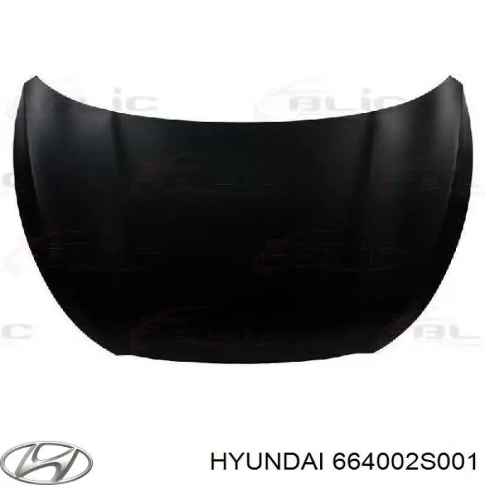 664002S001 Hyundai/Kia capó