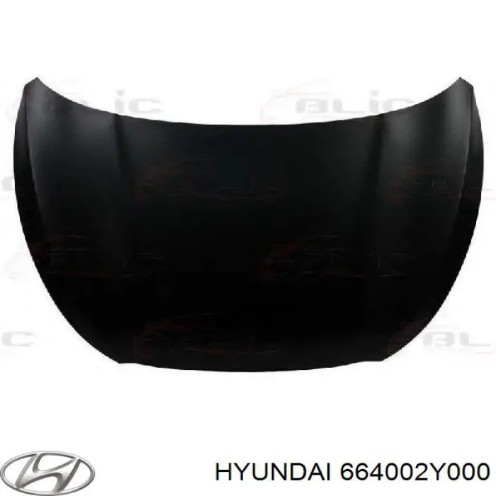664002Y000 Hyundai/Kia Capó delantero
