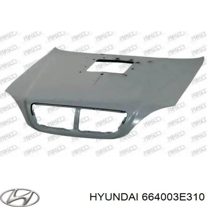 664003E310 Hyundai/Kia capó del motor