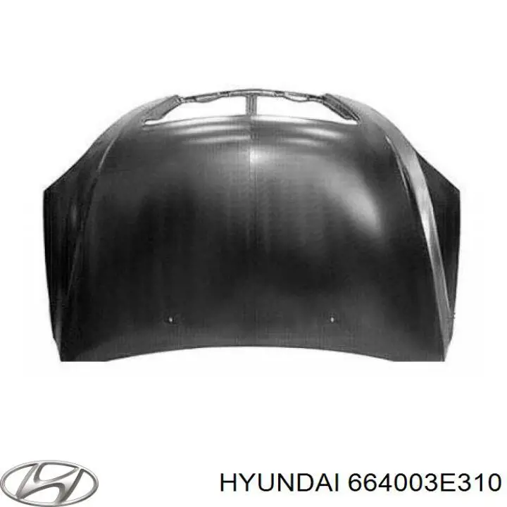 Capó del motor Hyundai/Kia 664003E310 precio, desde 211,99 EUR