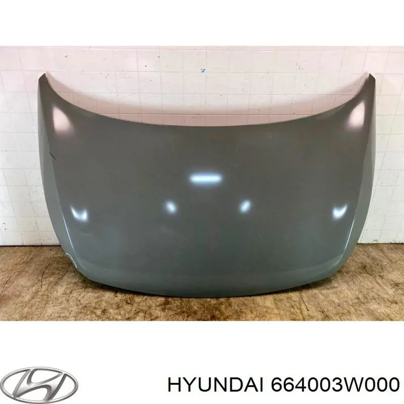 Capó 664003W000 Hyundai/Kia