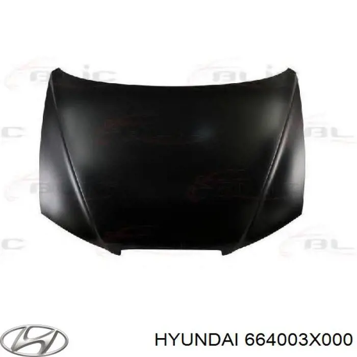 Comprar 664003X000 Hyundai/Kia Capó