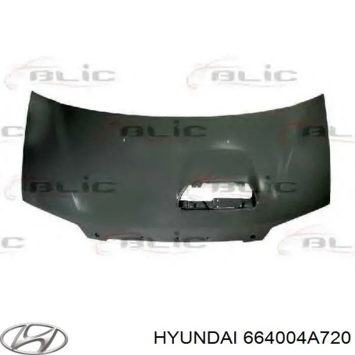 Capó del motor Hyundai/Kia 664004A720 precio, desde 207,64 EUR