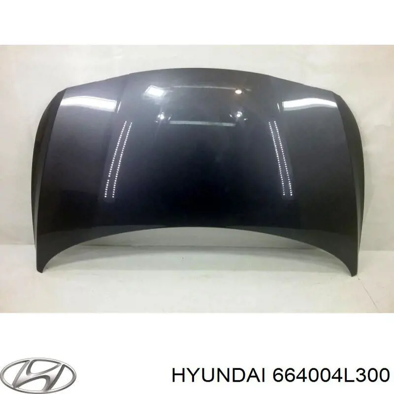 664004L300 Hyundai/Kia capó del motor