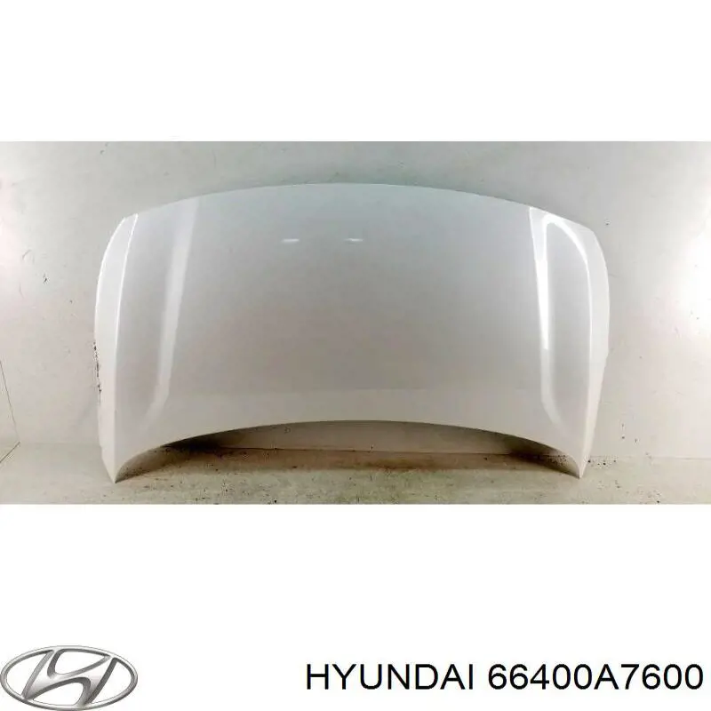 Capó del motor Hyundai/Kia 66400A7600 precio, desde 346,97 EUR