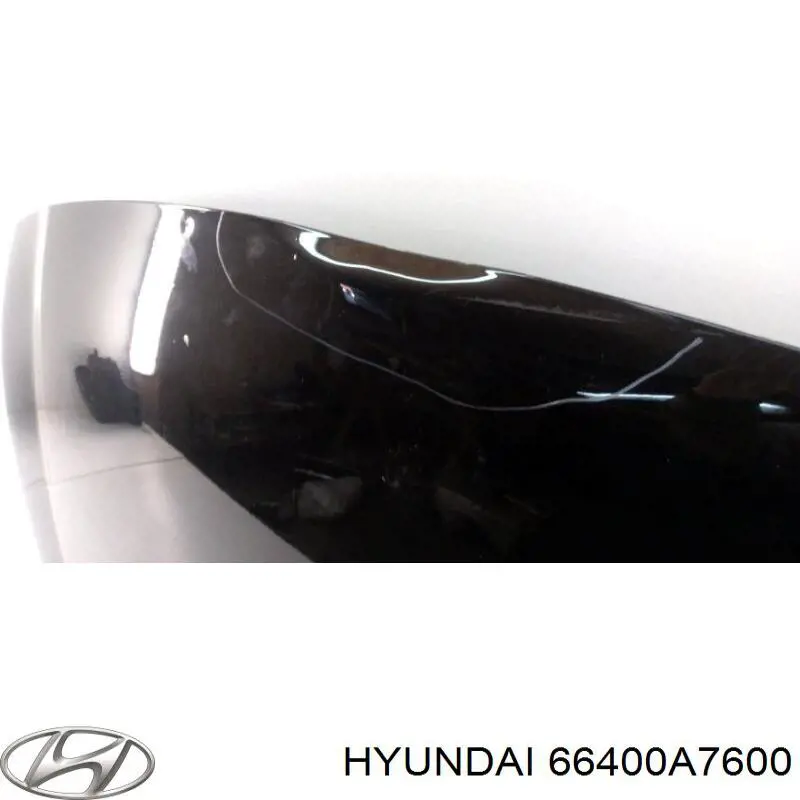 Comprar 66400A7600 Hyundai/Kia Capó